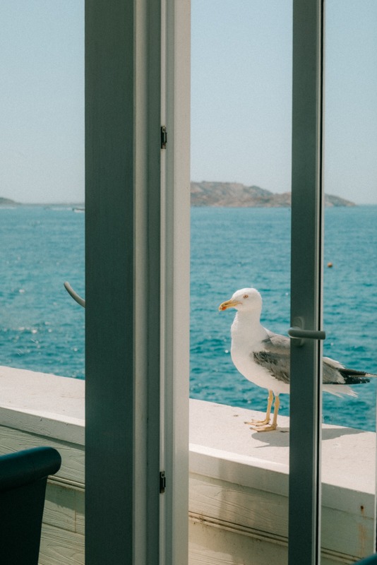 photographe marseille resto le petit pavillon