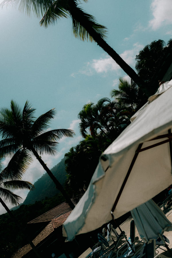Parasol blanc et palmiers sur ciel bleu en contre-plongée, piscine du Club Med Rio das Pedras