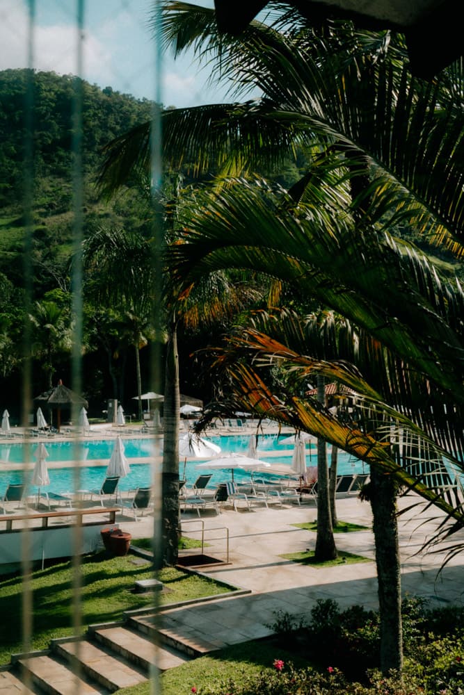 Palmiers et végétation tropicale en contre-jour, nature de la Costa Verde au Club Med Rio das Pedras